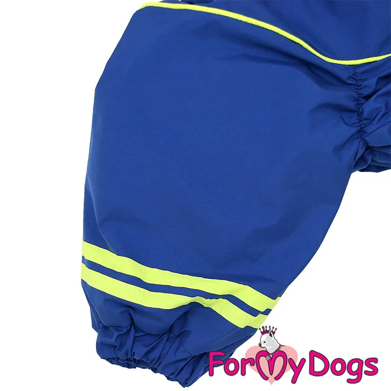 Bold Blue Winter Suit For Boys For Medium, Large Breeds & Pugs SPECIAL ORDER