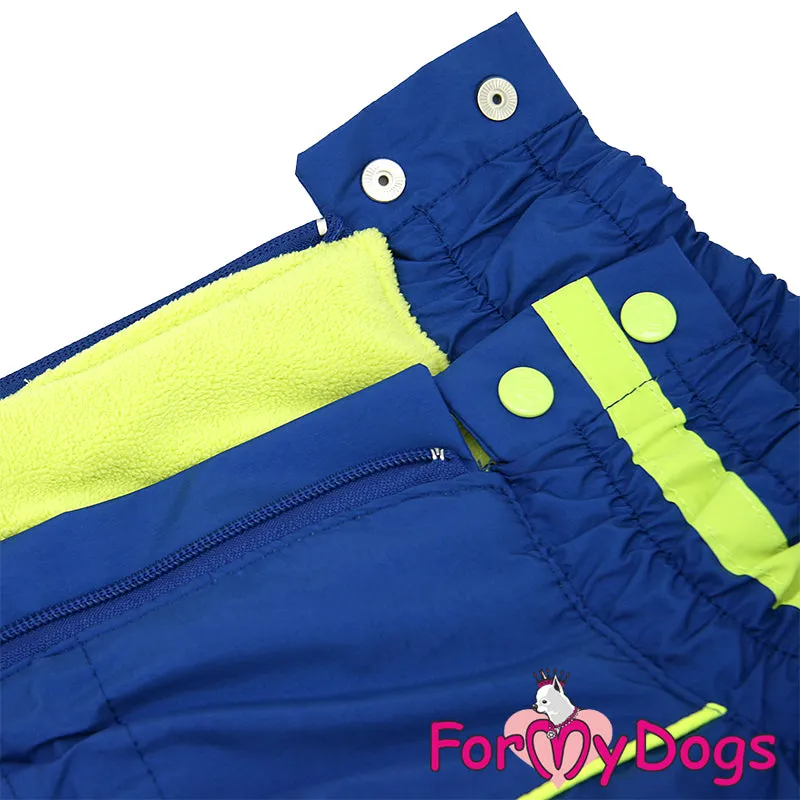 Bold Blue Winter Suit For Boys For Medium, Large Breeds & Pugs SPECIAL ORDER