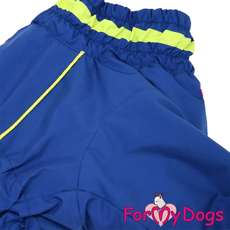 Bold Blue Winter Suit For Boys For Medium, Large Breeds & Pugs SPECIAL ORDER